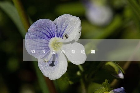 短信提示有逾期 短信提示有逾期