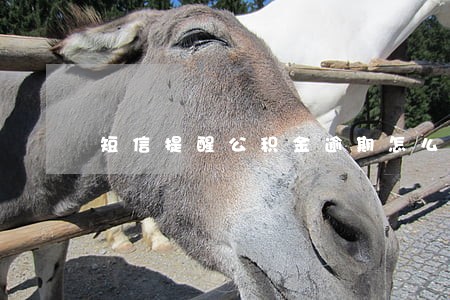 短信提醒公积金逾期怎么回事 短信提醒公积金逾期怎么回事