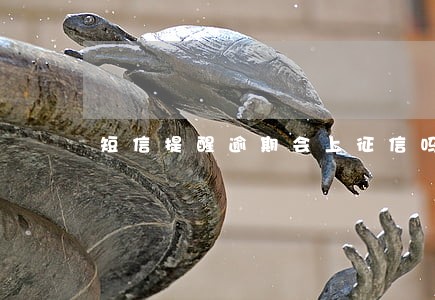 短信提醒逾期会上征信吗 短信提醒逾期会上征信吗