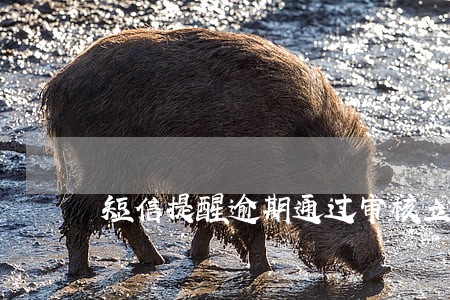 短信提醒逾期通过审核立案 短信提醒逾期通过审核立案