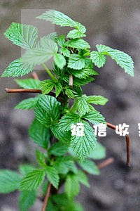 短信收到众安贷逾期严重怎么办