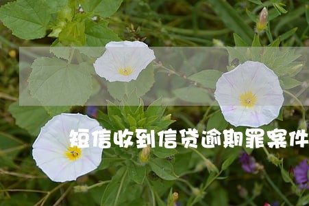 短信收到信贷逾期罪案件