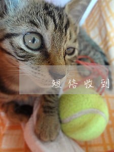 短信收到恶意逾期