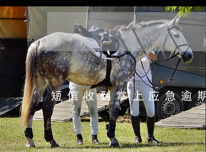短信收到掌上应急逾期