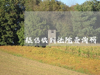 短信收到法院查询码 短信收到法院查询码