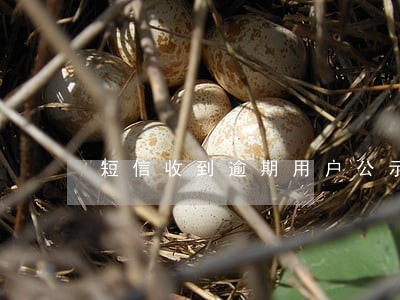短信收到逾期用户公示 短信收到逾期用户公示