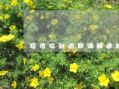 短信收到逾期调解通知 短信收到逾期调解通知