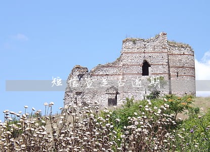 短信查是否逾期 短信查是否逾期