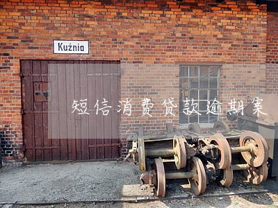 短信消费贷款逾期案 短信消费贷款逾期案