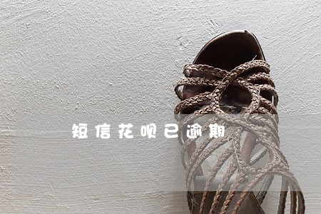 短信花呗已逾期 短信花呗已逾期