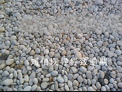 短信误导导致逾期 短信误导导致逾期