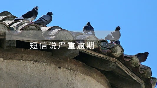 短信说严重逾期 短信说严重逾期