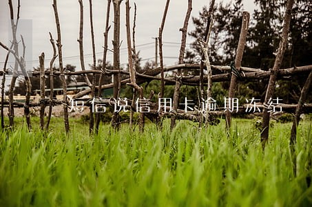 短信说信用卡逾期冻结 短信说信用卡逾期冻结