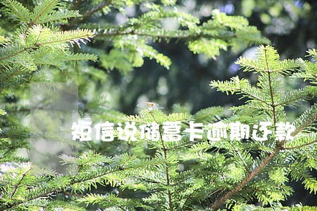 短信说储蓄卡逾期还款 短信说储蓄卡逾期还款