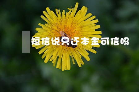 短信说只还本金可信吗 短信说只还本金可信吗