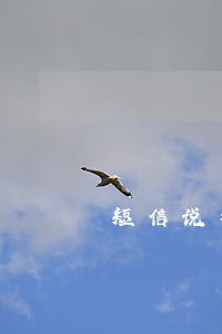 短信说我三年前有逾期 短信说我三年前有逾期