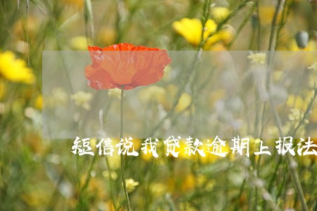 短信说我贷款逾期上报法院 短信说我贷款逾期上报法院