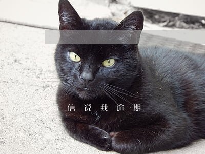 短信说我逾期 短信说我逾期