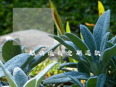 短信说我逾期还款 短信说我逾期还款