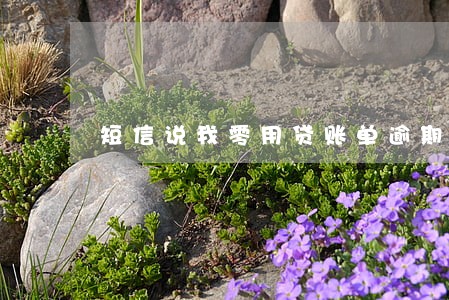 短信说我零用贷账单逾期 短信说我零用贷账单逾期
