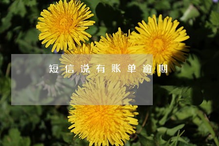 短信说有账单逾期 短信说有账单逾期