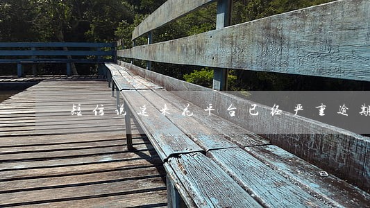 短信说速来花平台已经严重逾期 短信说速来花平台已经严重逾期