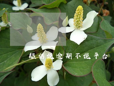 短信说逾期不说平台 短信说逾期不说平台