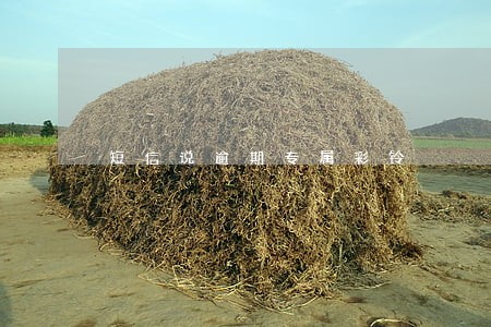 短信说逾期专属彩铃 短信说逾期专属彩铃