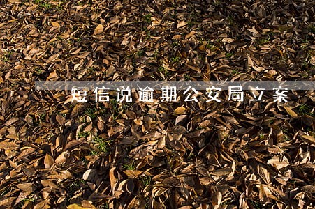 短信说逾期公安局立案