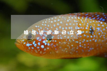 短信说逾期已立案