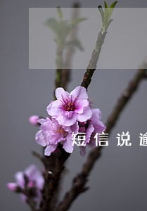 短信说逾期立案后面有个网站 短信说逾期立案后面有个网站