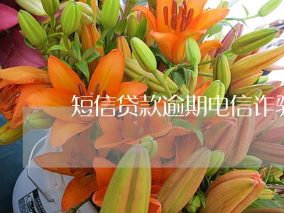 短信贷款逾期电信诈骗 短信贷款逾期电信诈骗