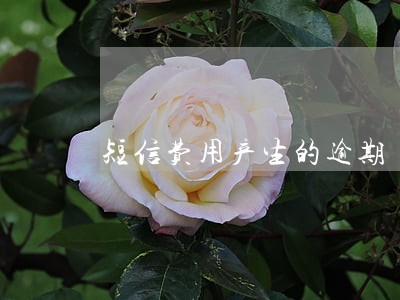 短信费用产生的逾期 短信费用产生的逾期
