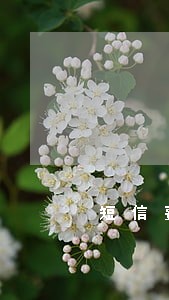 短信费逾期可以办房贷 短信费逾期可以办房贷