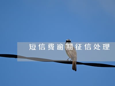短信费逾期征信处理 短信费逾期征信处理