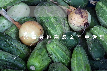 短信费逾期怎么写申诉理由 短信费逾期怎么写申诉理由