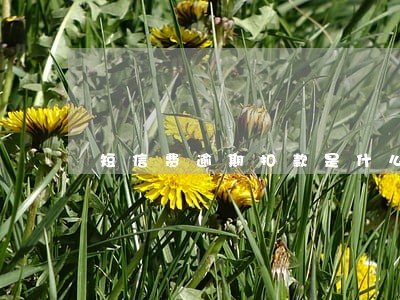 短信费逾期扣款是什么意思 短信费逾期扣款是什么意思