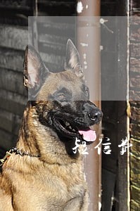 短信费逾期贷款 短信费逾期贷款