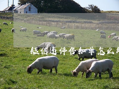 短信违停告知单怎么处理逾期 短信违停告知单怎么处理逾期