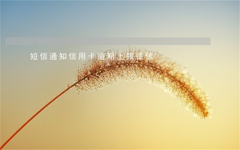 短信通知信用卡逾期上报征信