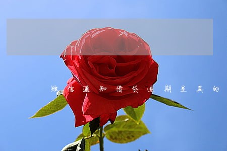 短信通知借贷逾期是真的吗 短信通知借贷逾期是真的吗