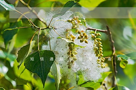 短信通知我信用卡逾期开庭时间 短信通知我信用卡逾期开庭时间