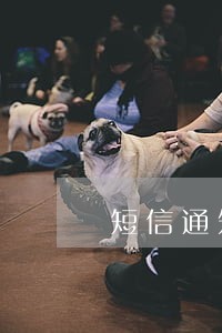 短信通知解决逾期进信誉系统 短信通知解决逾期进信誉系统