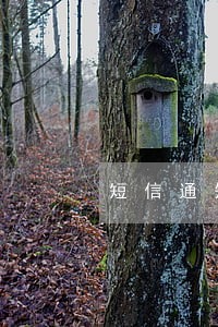 短信通知解决逾期进信誉系统是啥 短信通知解决逾期进信誉系统是啥