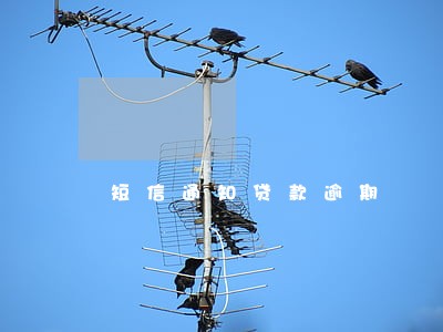 短信通知贷款逾期 短信通知贷款逾期