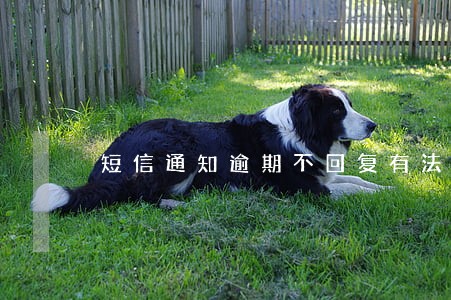 短信通知逾期不回复有法律效力吗 短信通知逾期不回复有法律效力吗