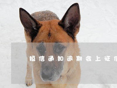 短信通知逾期会上征信吗 短信通知逾期会上征信吗