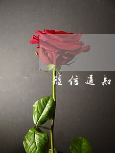 短信通知逾期但没说平台 短信通知逾期但没说平台