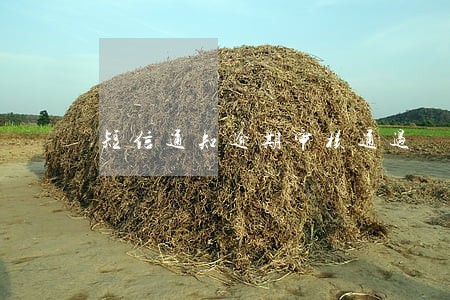 短信通知逾期审核通过