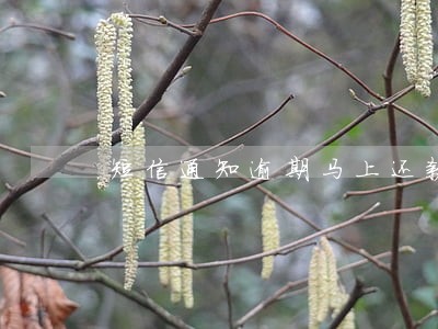 短信通知逾期马上还款 短信通知逾期马上还款